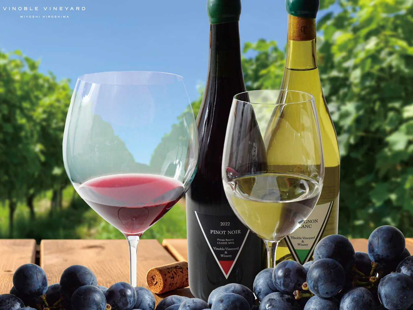 Vinoble Vineyardのワインとグラス